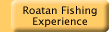 Roatan Fishing Experience