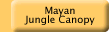 Mayan Jungle Canopy