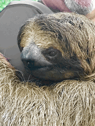 Click for Close Up